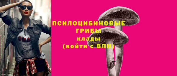 бошки Магас