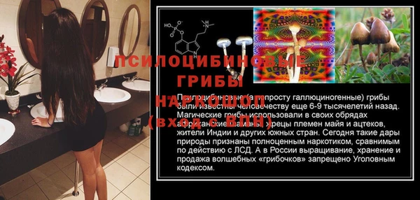 mdpv Магадан