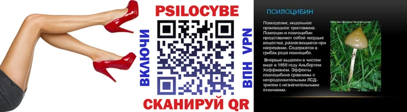 Купить закладки  Ковдор  Псилоцибиновые грибы прущие грибы 